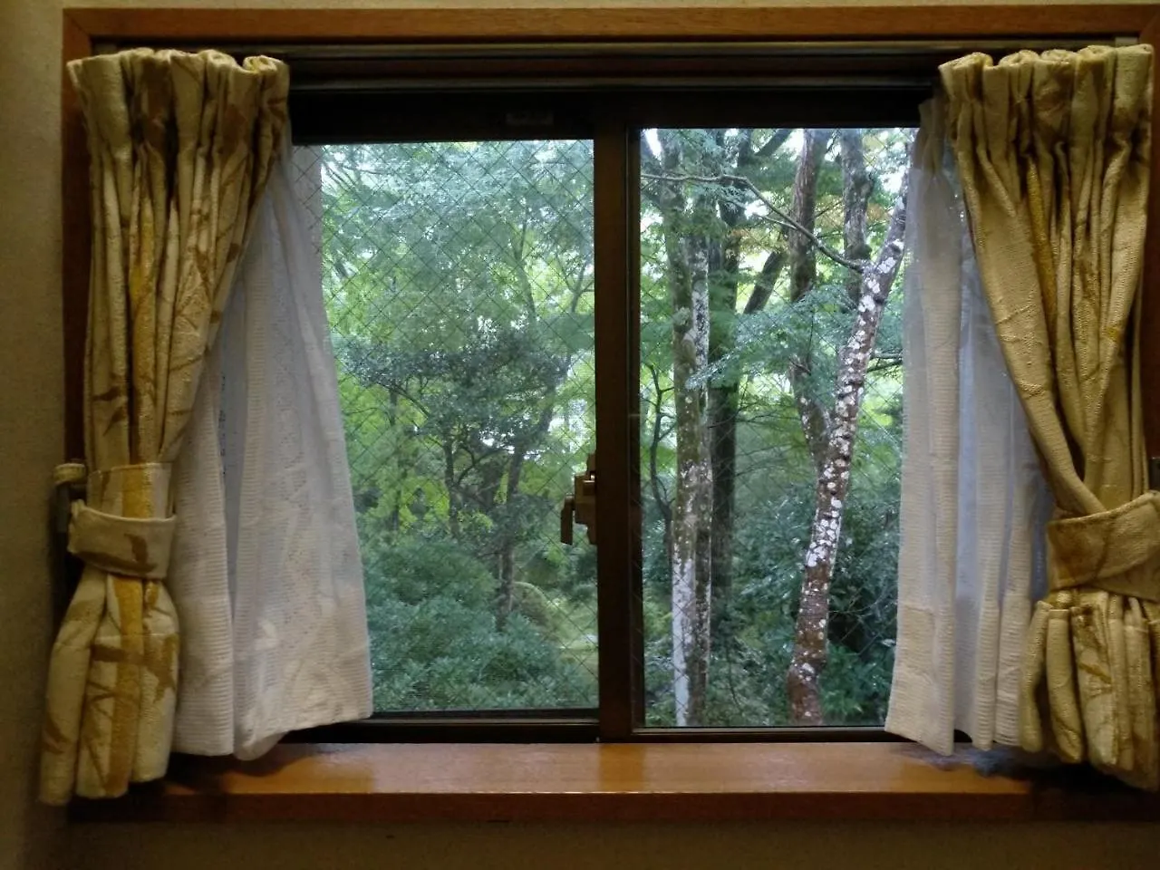 Δωμάτια σε οικογενειακή κατοικία Hakone Miyagino House Διαμέρισμα